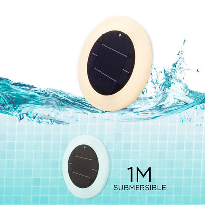 Papaya Solar Pool Light