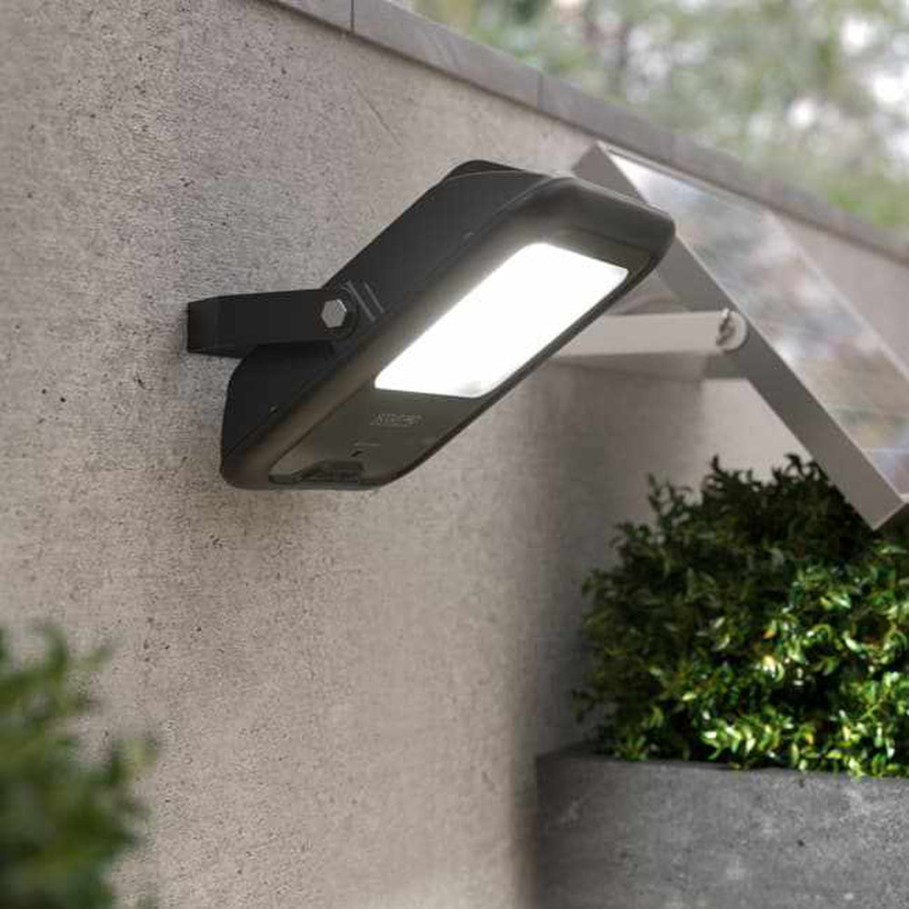 Scout Pro Solar Floodlight Black